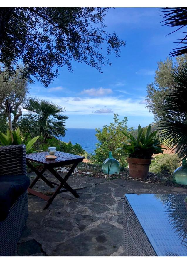 Sa Plana Petit Hotel Estellencs  Extérieur photo